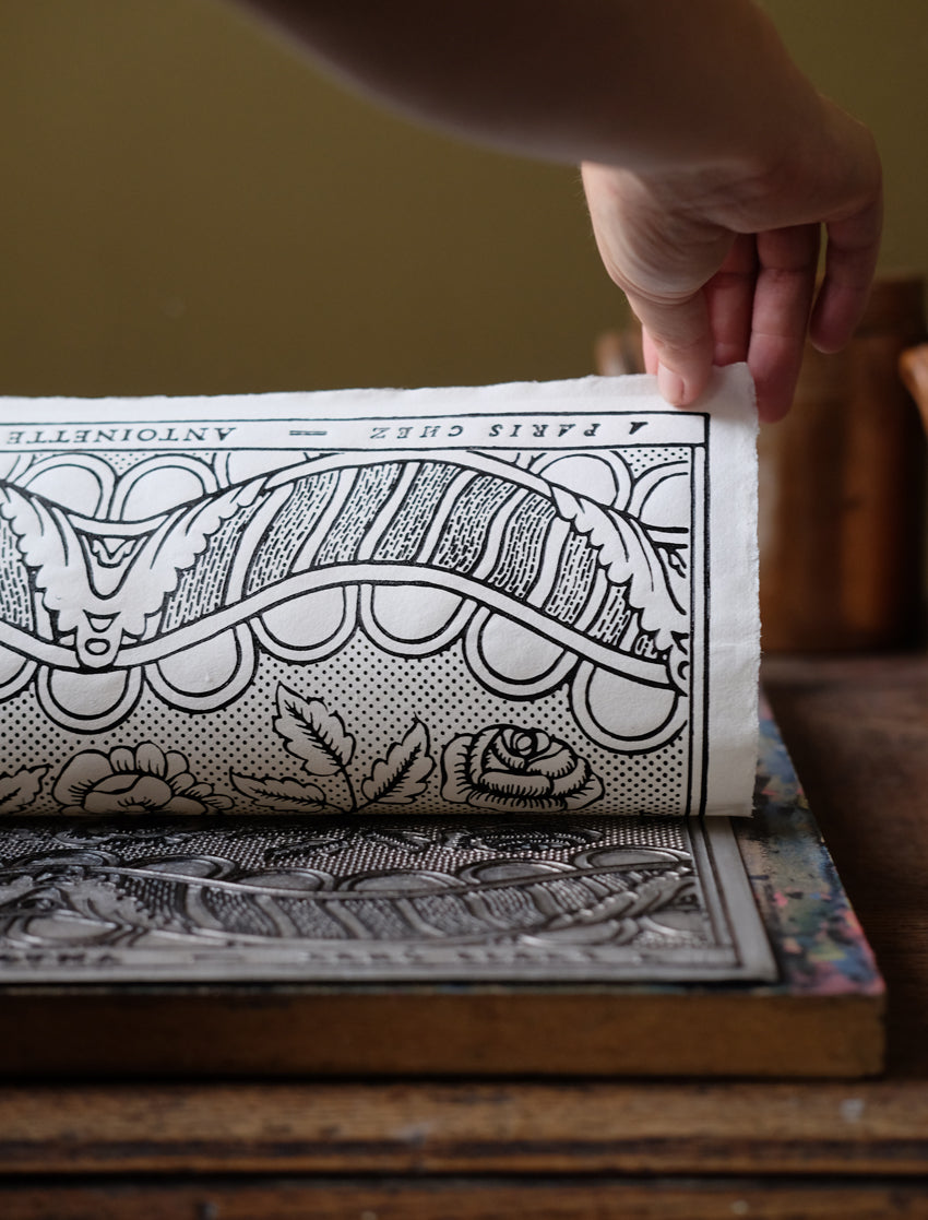 Domino paper "Guirlandes & Festons"