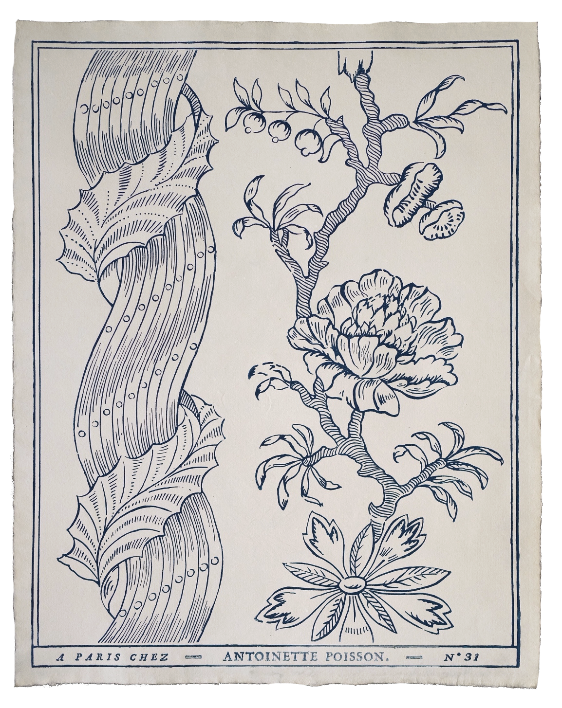Domino paper "Colonne"