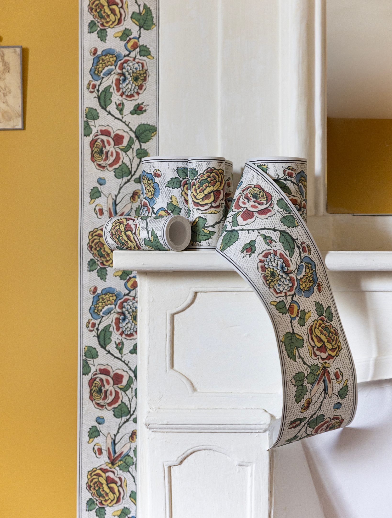 Coccinelle "fleurs" Border