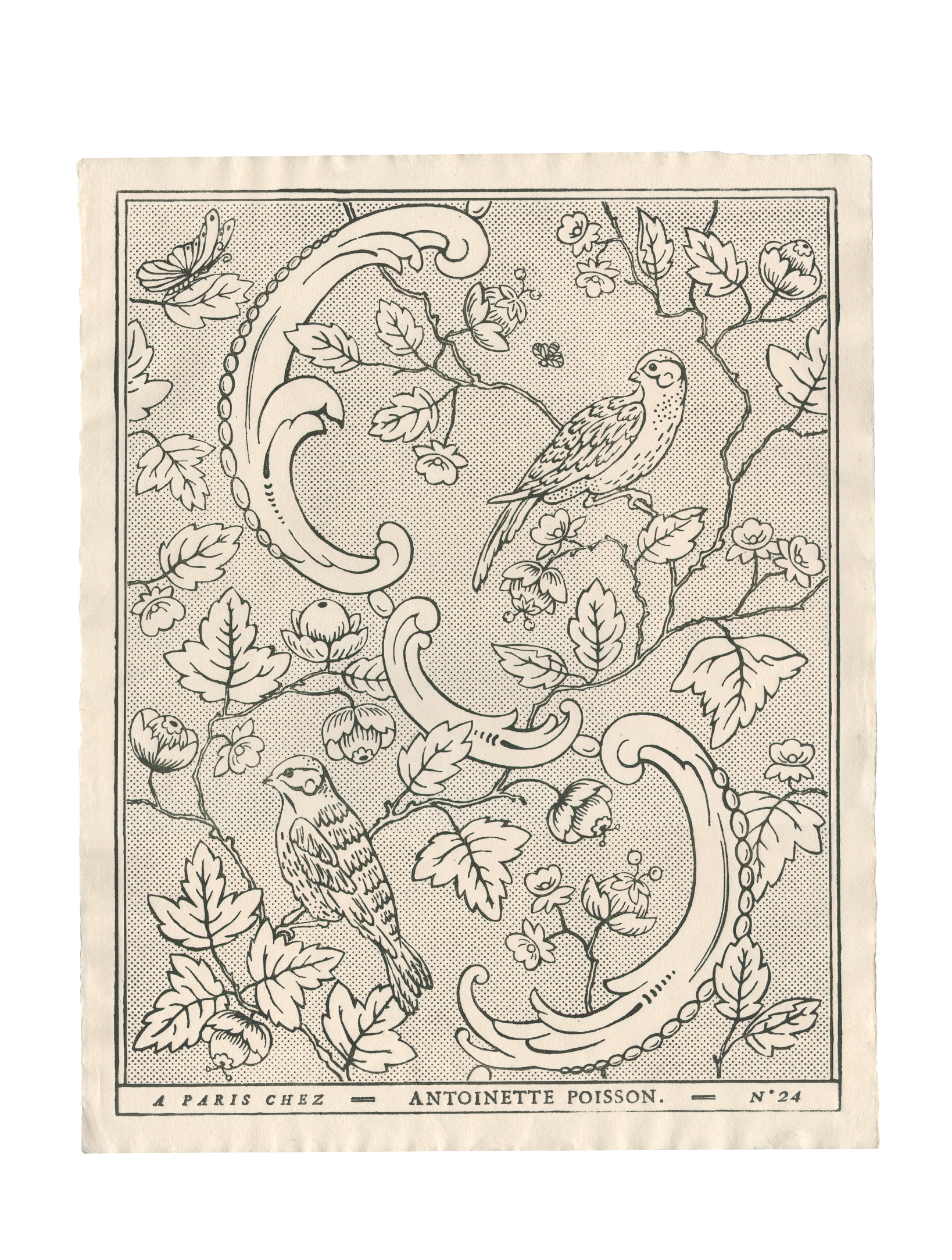 Papier dominoté "Oiseaux & Feuillage"