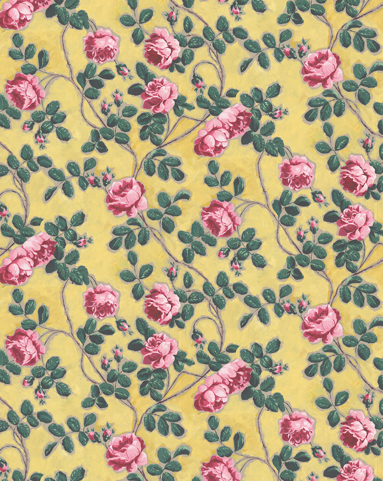 Wallpaper "Roses Pompadour"