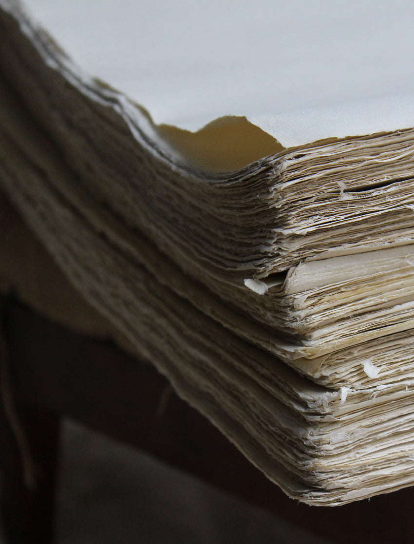 Domino paper "Anneaux"