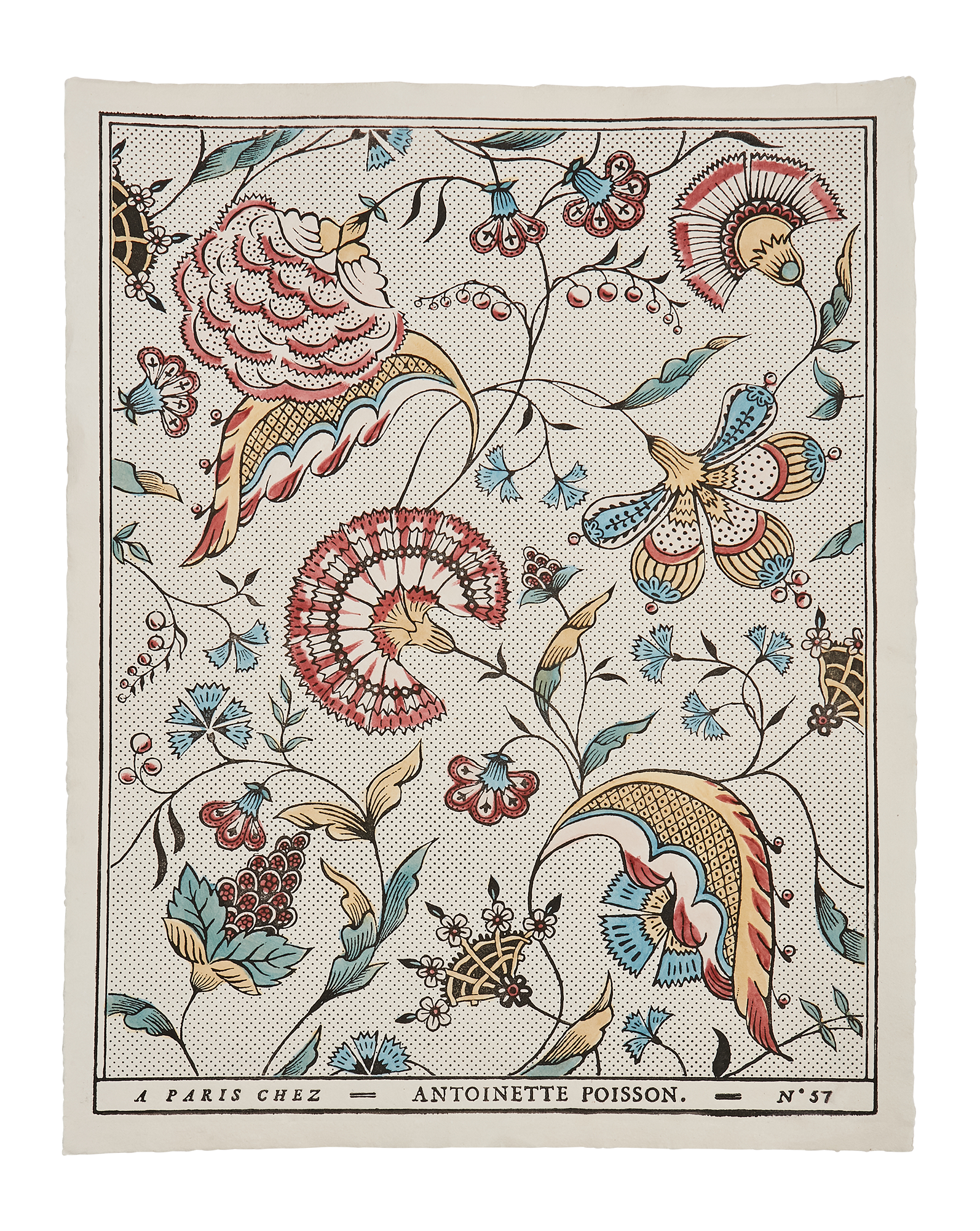 Antoinette Poisson 復刻版　N° 64 Domino paper 