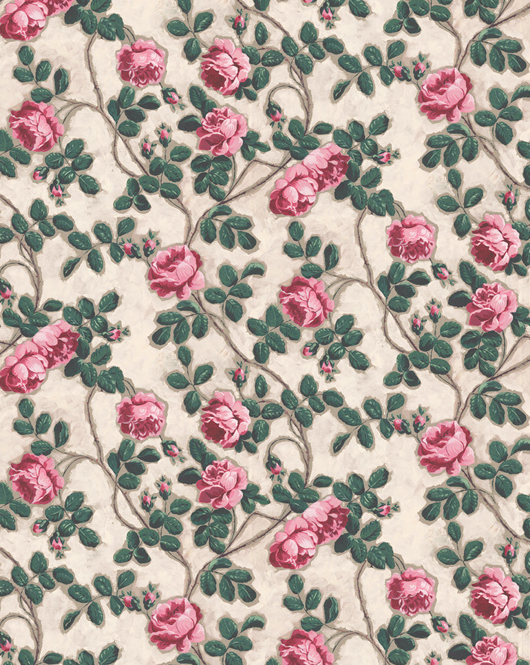 Papier peint "Roses Pompadour"