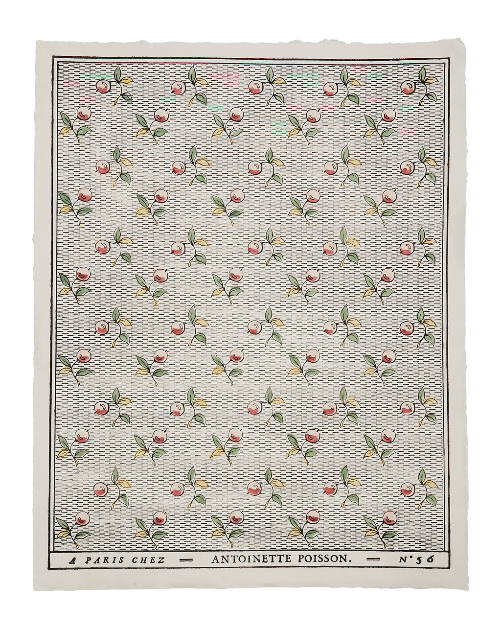 papier-dominote_CC_81-56a.png?
