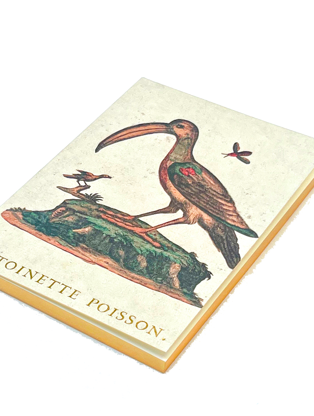 Petit cahier "Les oiseaux"