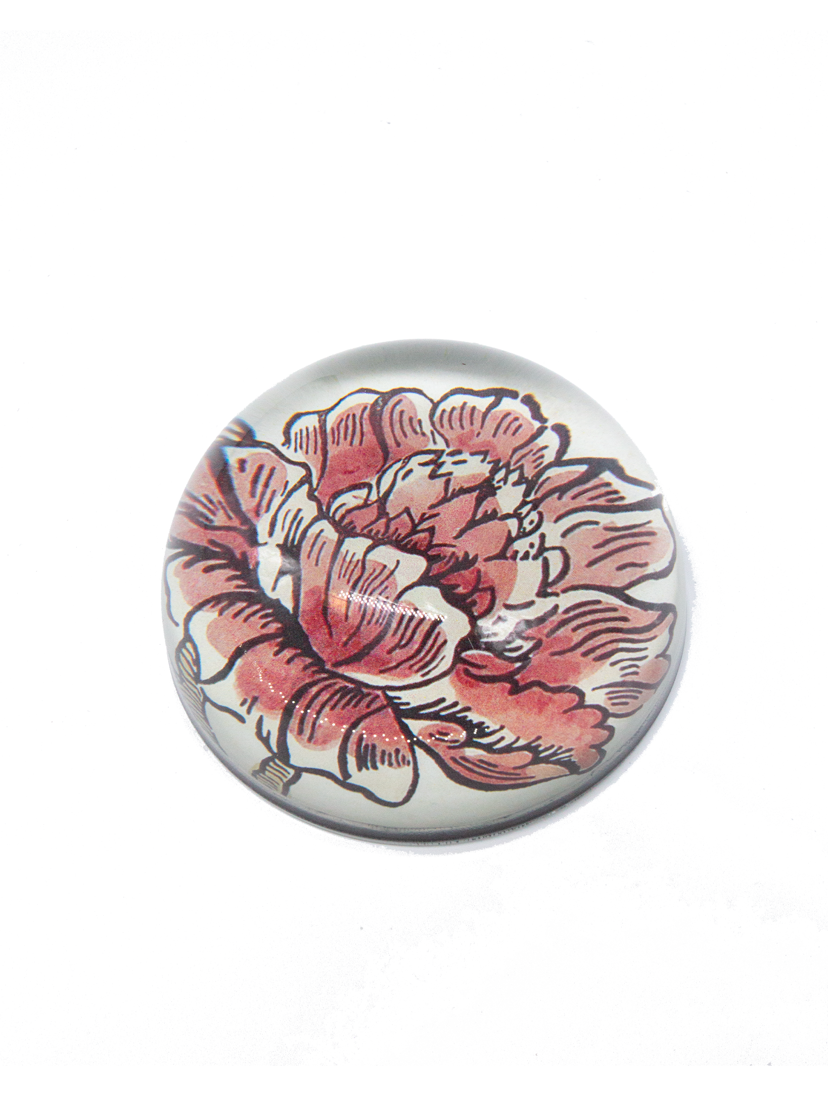 Dome paperweight x John Derian
